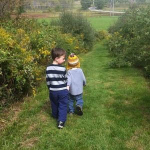 Meet your Posher, Kate